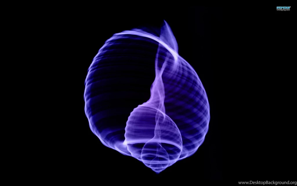 Artistic Shell X Ray (id: 188786) – BUZZERG