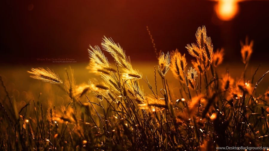 When The Sun Goes Down Wallpapers By Evey90 On DeviantArt