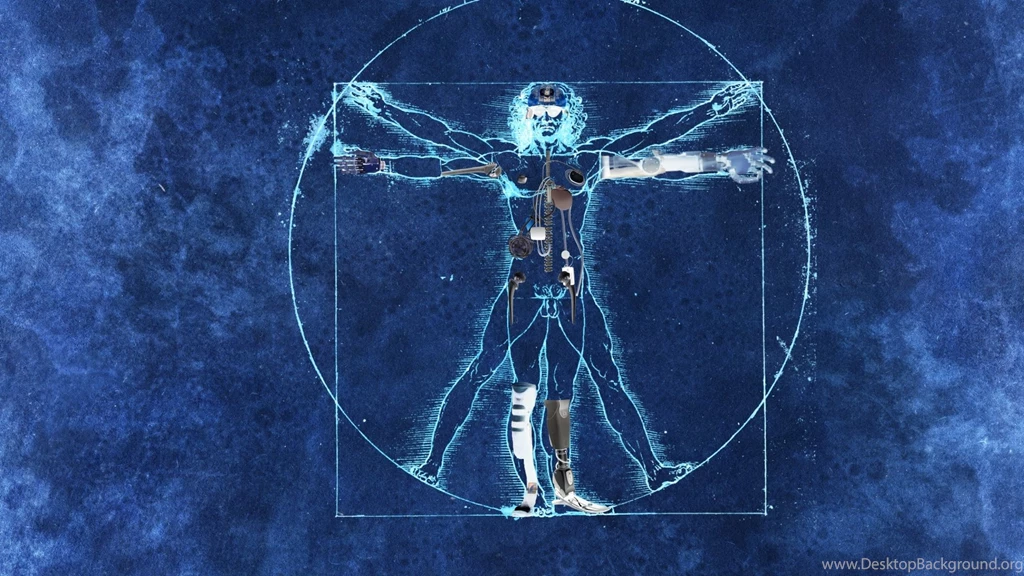 Reengineering The Anatomy Of The "Vitruvian Man"   YouTube