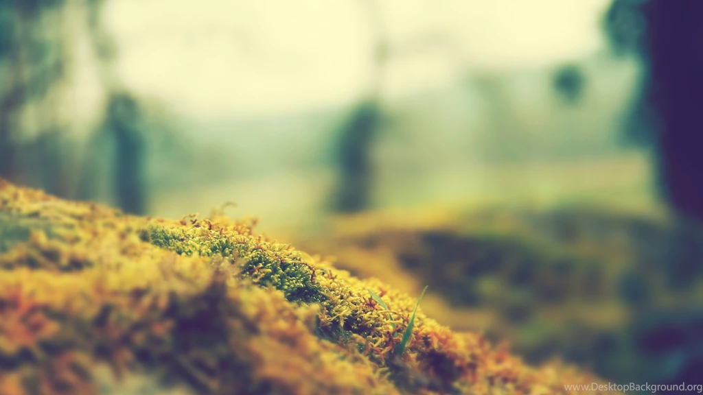 Wallpapers Blur