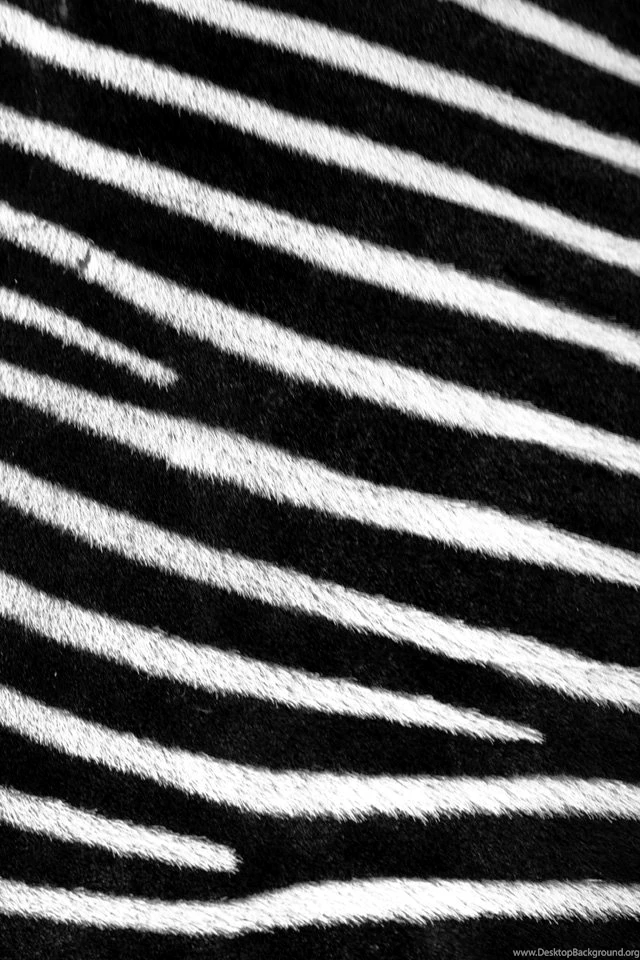 Pattern And Repetition Photography