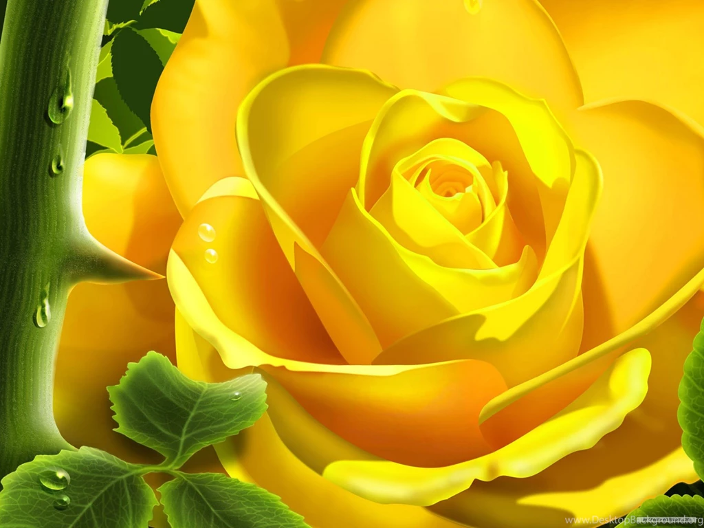 Free Wallpapers Top L7A » WALLPAPERUN.COM