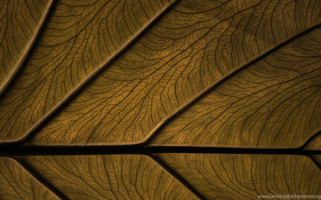 Color Texture Backgrounds Wallpapers » WallDevil Best Free HD ...