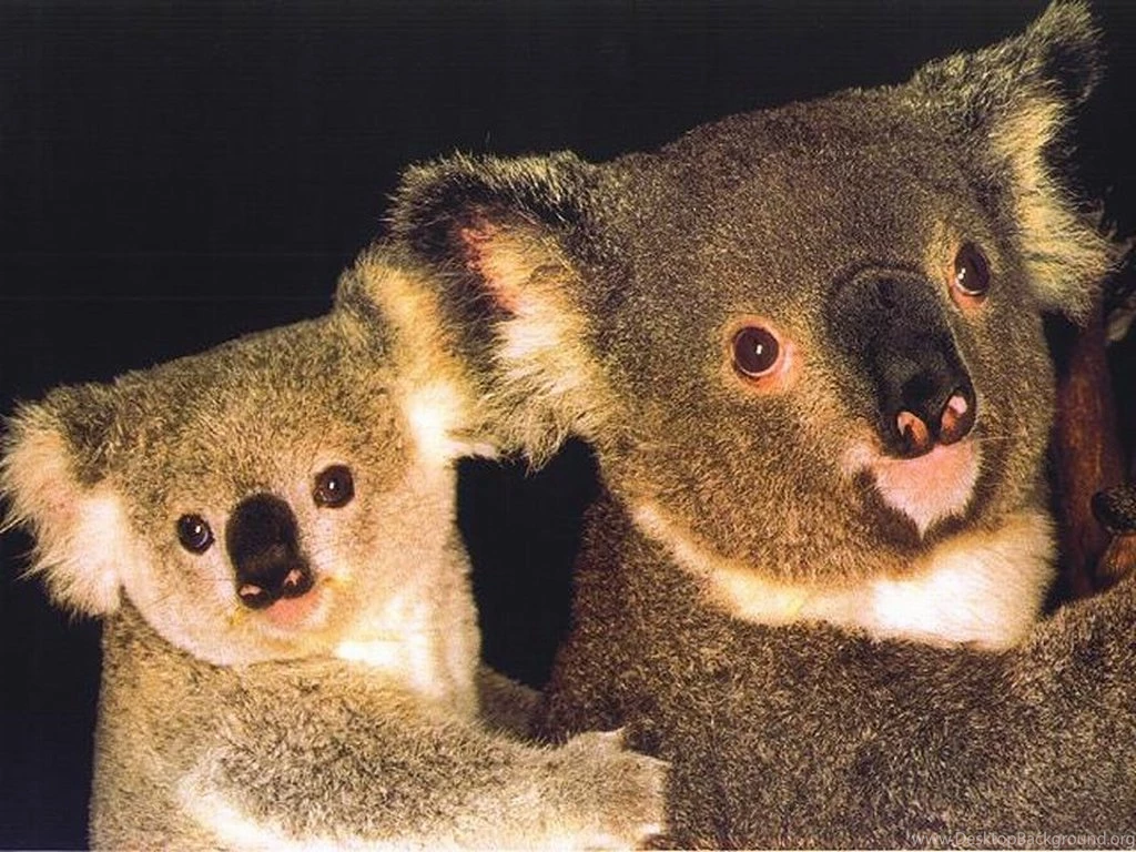 HD Wallpapers Source   Page 308 Of 489   100% Quality HD Desktop ...