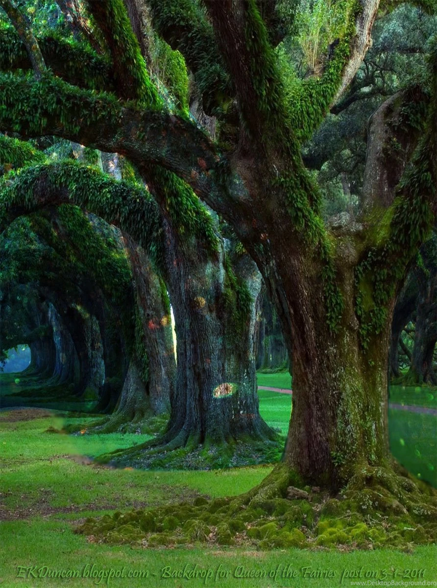 Faerie Backgrounds As Well As Blue Emo Backgrounds Photo By Blue ...