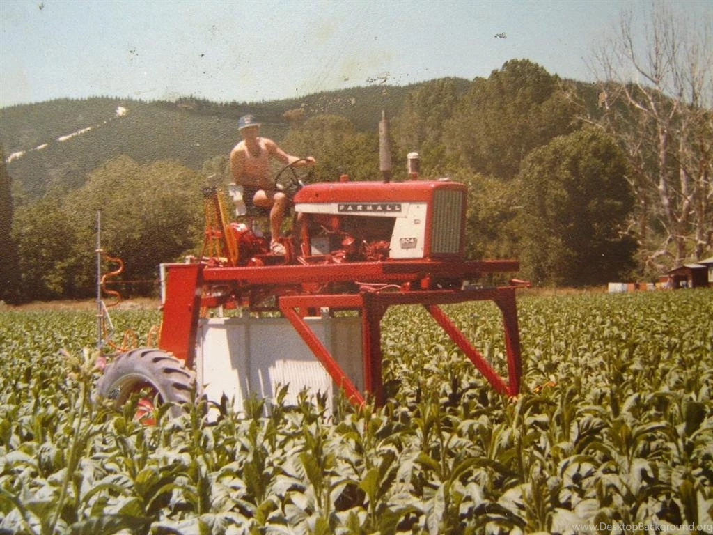 Red Tractors In The Tobacco Patch Post Your Pics! Coffee Shop ...