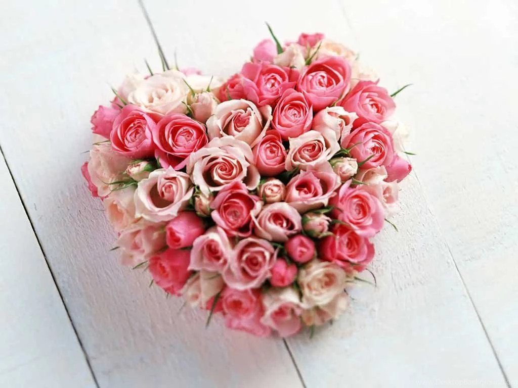 New Latest Valentine's Day 2009 Heart Red Flowers Wallpapers ...