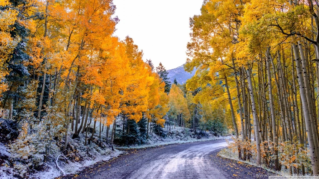 Autumn Winter Wallpapers