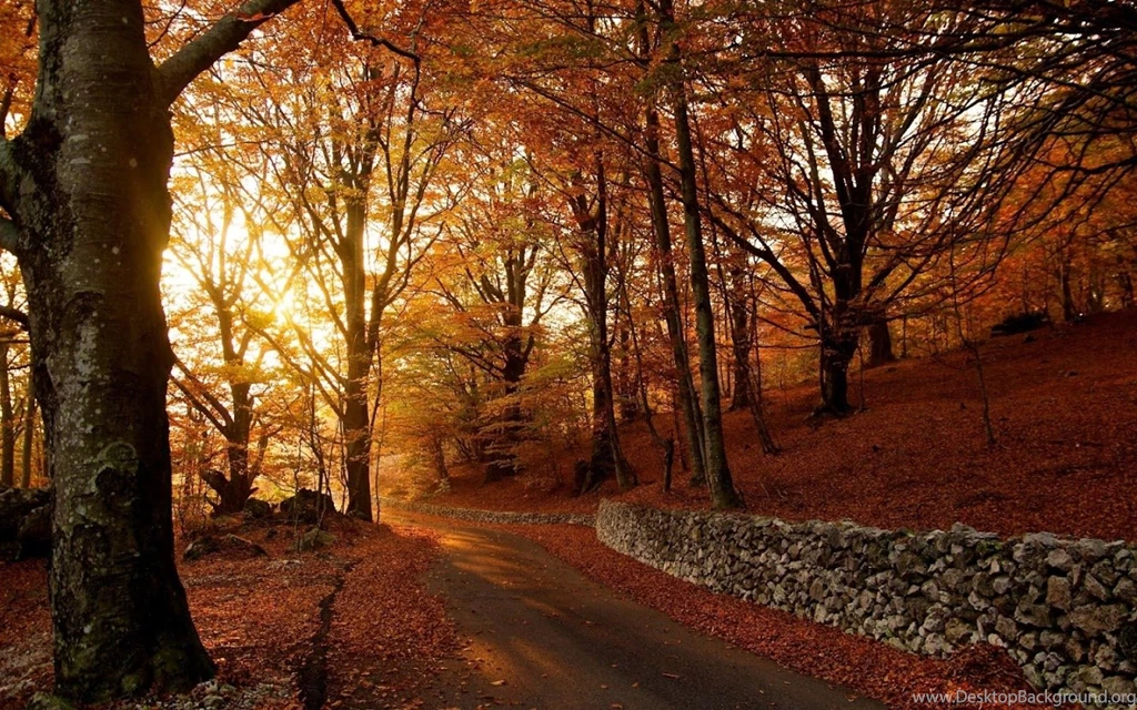Autumn Wallpapers Android Apps On Google Play
