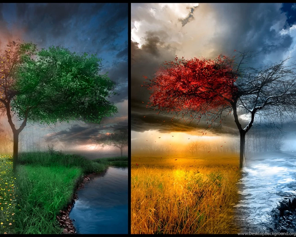 Winter Spring Summer And Autumn Hd Wallpapers 3 Hd Wallpapers