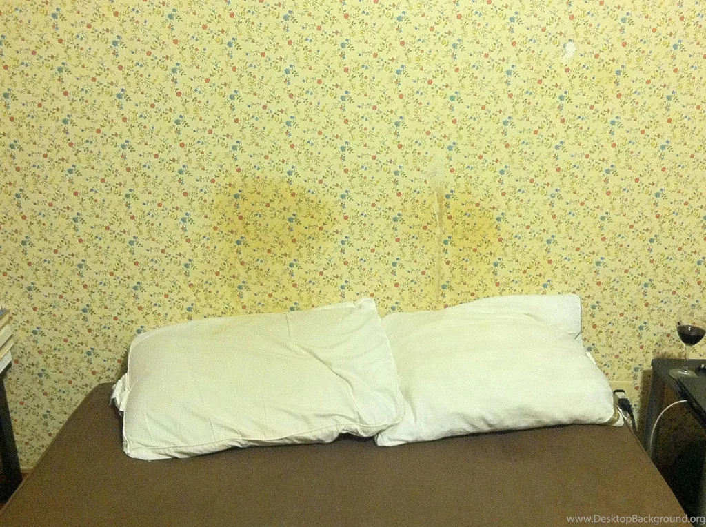 My Boyfriend And I Moved Into This Place With Awful Wallpaper. We ...
