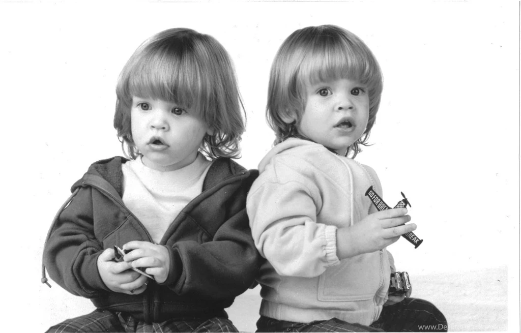 Cool Pictures Of Nicky And Alex From Full Hous