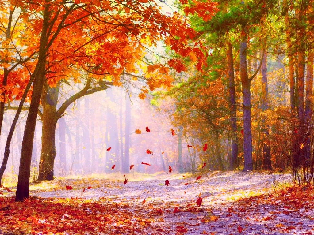 Fall Wallpapers 17 Best Wallpapers Collection