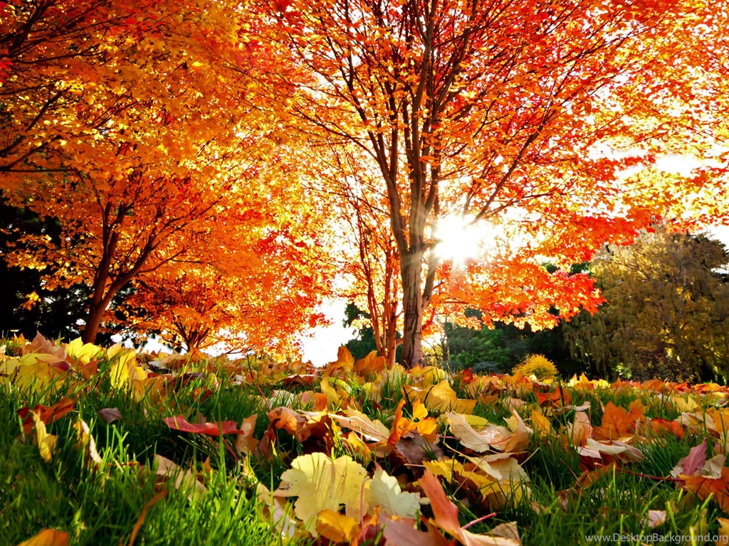 November