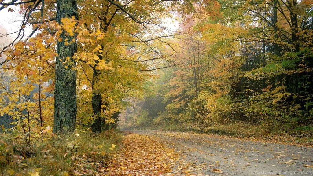 Falling Of Leaves Wallpapers