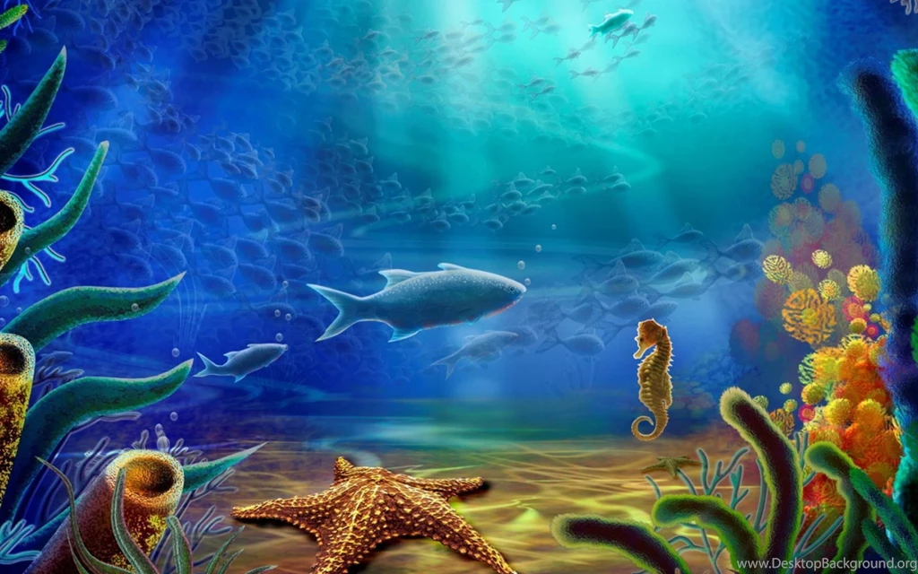 Fish Wallpapers For Widescreen Desktop PC 1920x1080 Full HD