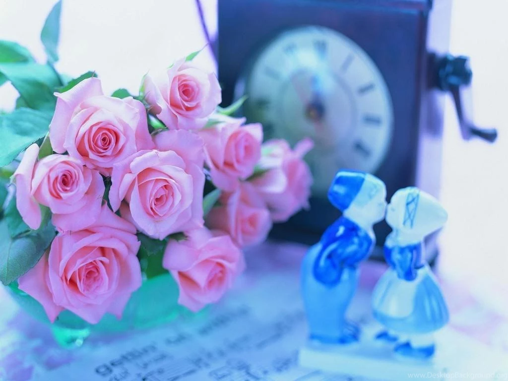 Beauty Toy HQ Wallpapers