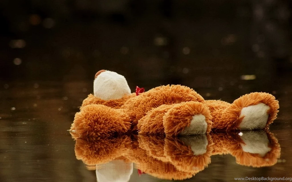 Cute Plush Toys Xionggao Qing Desktop Wallpapers 3 － Other ...