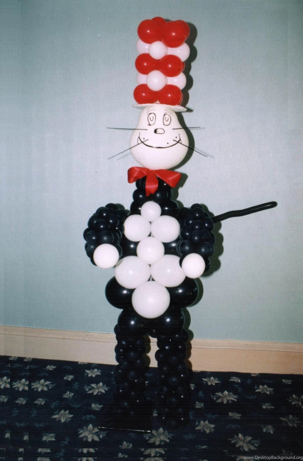 Pictures Of Cat In The Hat HD Wallpapers Pretty