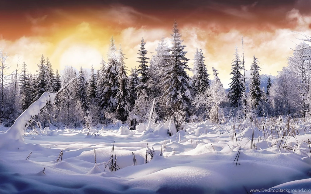 Winter Wallpapers 26