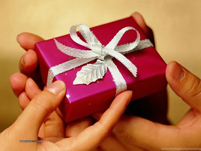 Christmas Present Photo With Hands Holding Present Box 15 ...