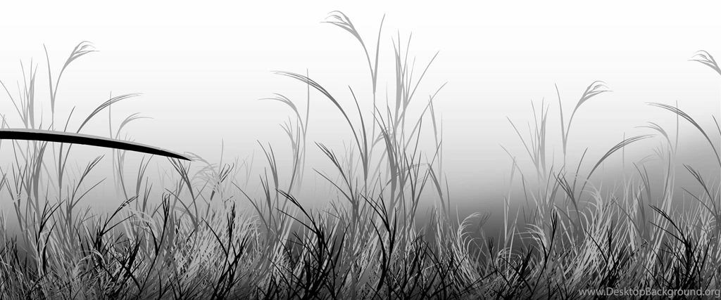Samurai Champloo Wallpapers