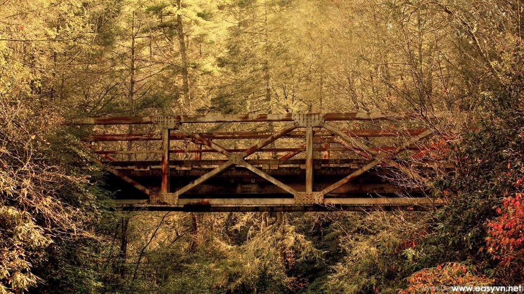 Download Free Best Real World Wallpapers