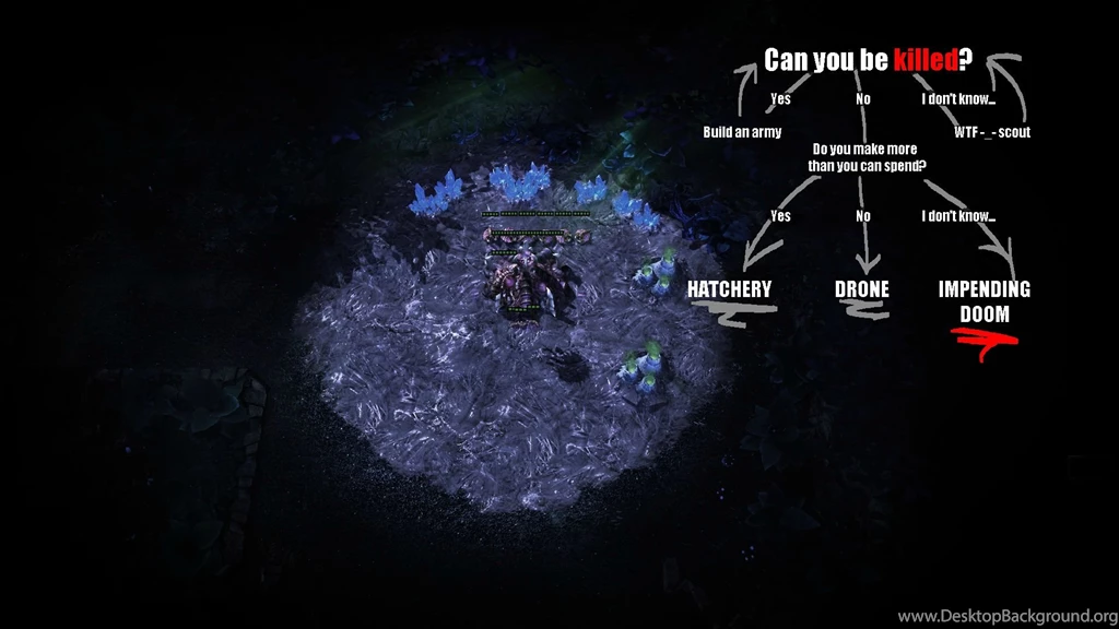 My Zerg Wallpapers : Starcraft