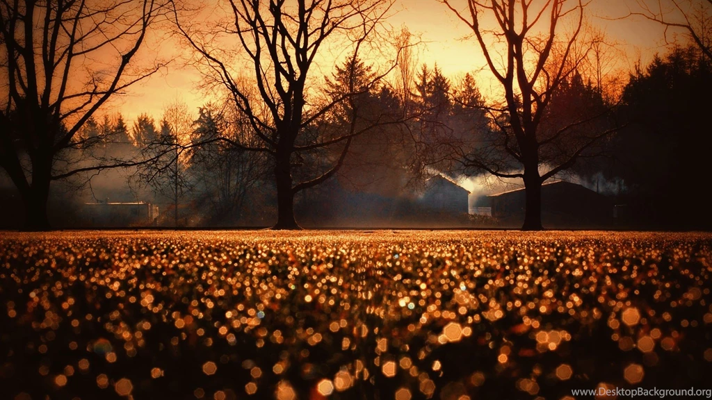 Morning Sunrise In The Fall HD Wallpapers » FullHDWpp Full HD ...