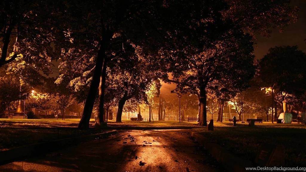 Download 2560x1440 Dark Night In The Fall Park Wallpapers