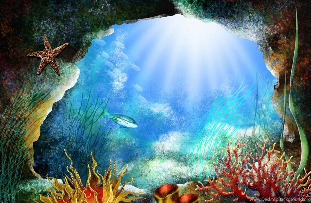Sea Life Wallpapers Wallpapers Cave