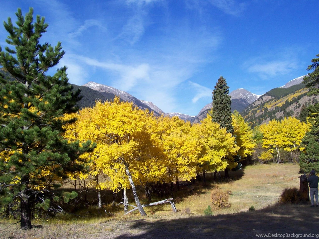 Colorado Rocky Mountains Fall Color Wallpapers