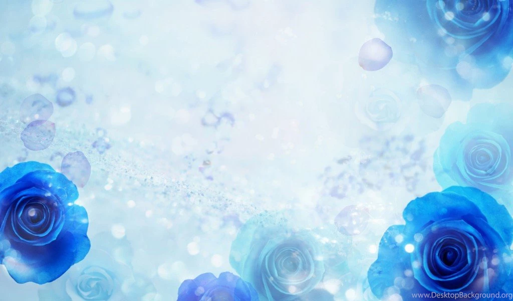 Flowers Backgrounds Flower Wallpaper Images Of Flower 16