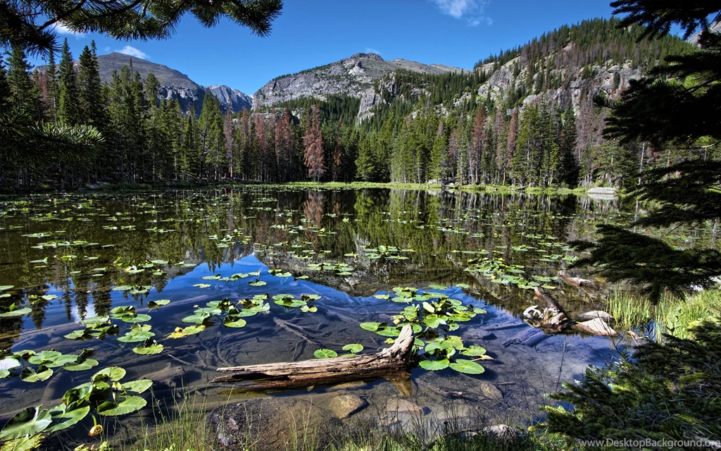 Water Mountain Forest Nature Lake Mountains Reflection Forest ...
