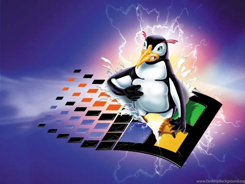 Computer: Max Linux Penguin, Picture Nr. 44530