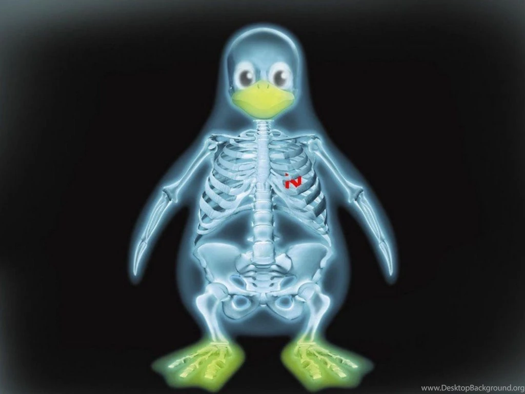 Wallpapers Radiation Linux Medical For The Penguin 1024x768 ...