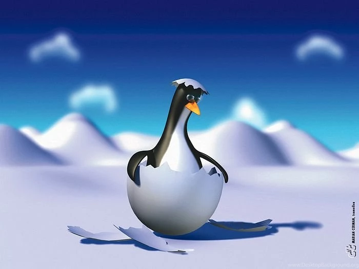 Tux Penguin 3D Linux Penguin Wallpapers 1 Wallcoo.net