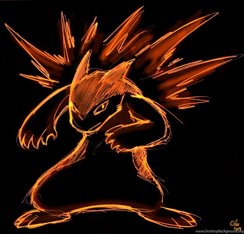Commission 2009 Typhlosion By Raizy On DeviantArt