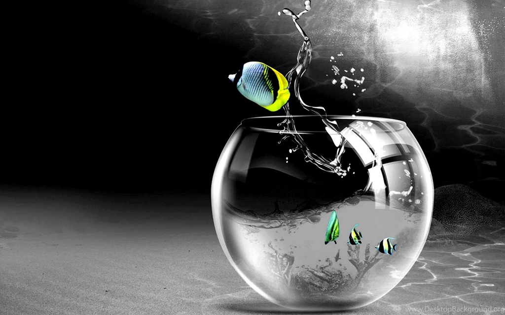 Cg Digital Art Bowl Aquarium Glass Drops Splash High Resolution ...