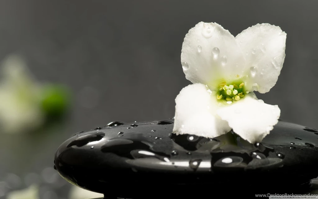 Creative Zen Wallpapers