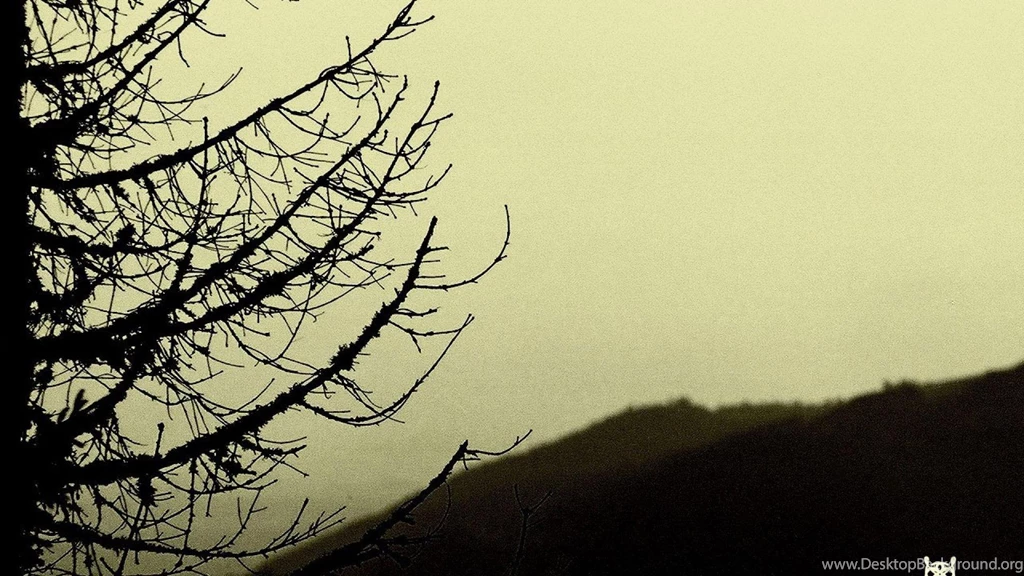 Negura Bunget Album Covers Black Metal Progressive Folk Wallpapers ...