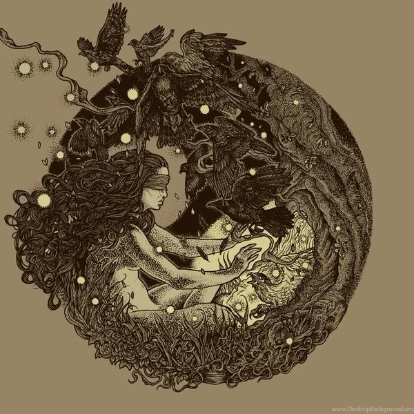 Animals,mountain Lions Animals Mountain Lions Baby Animals ...