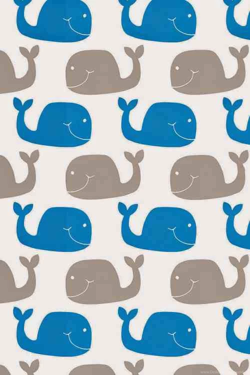 Wallpapers Blue Grey Cute Whales Print Pattern   Image