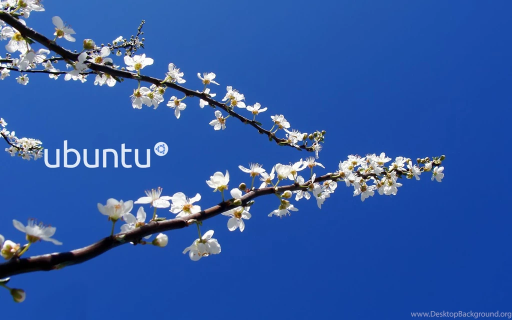 Wallpapers Ubuntu 1004