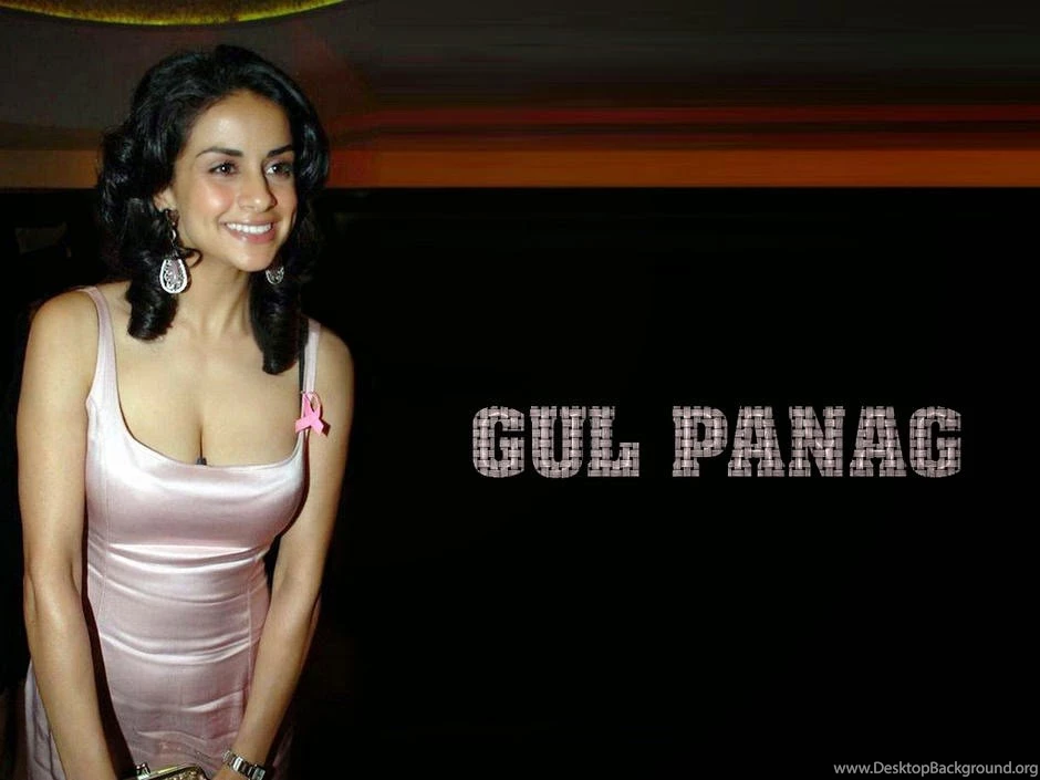 Wallpapers Joo: Gul Panag FUll HD Wallpapers