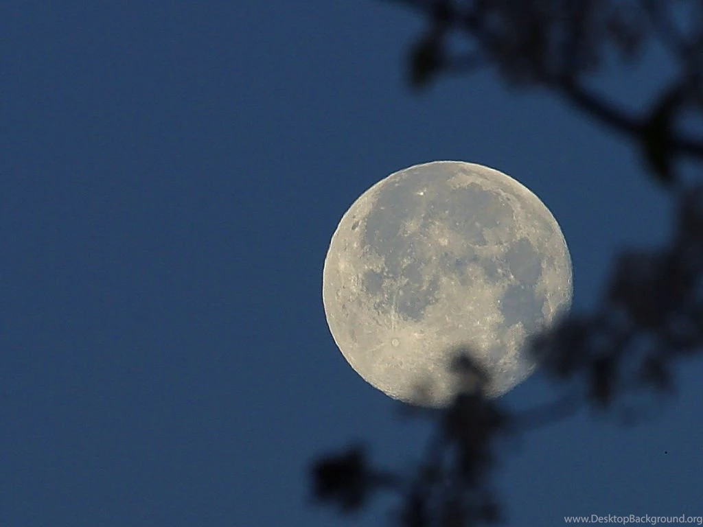 Public Domain Image Free Picture Of Winter Moon At Night