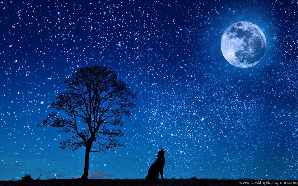 Moon Wolf Wallpapers /space/moon/moon_3/moon_wolf_wallpaper.jpg.html