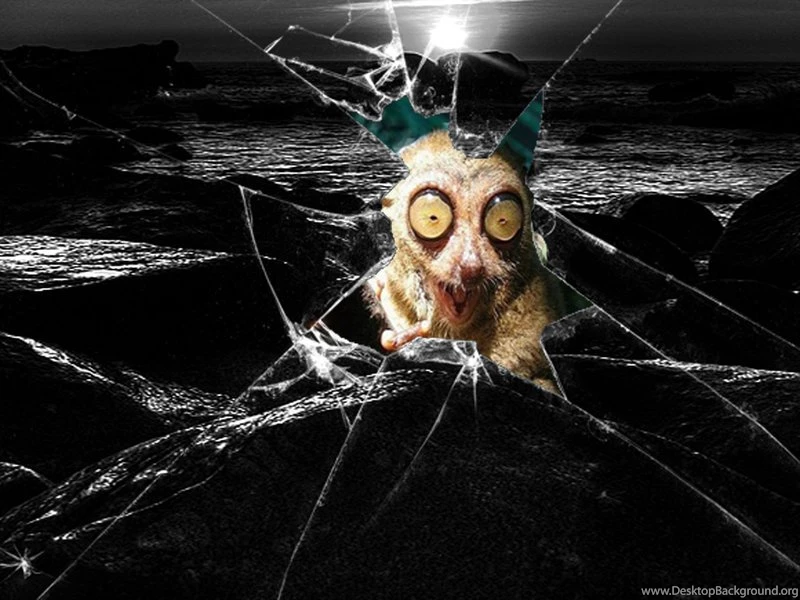 Brokenscreen DeviantArt