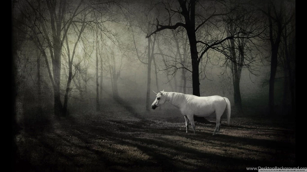 The Last Unicorn HD Desktop Wallpapers : Widescreen : High ...