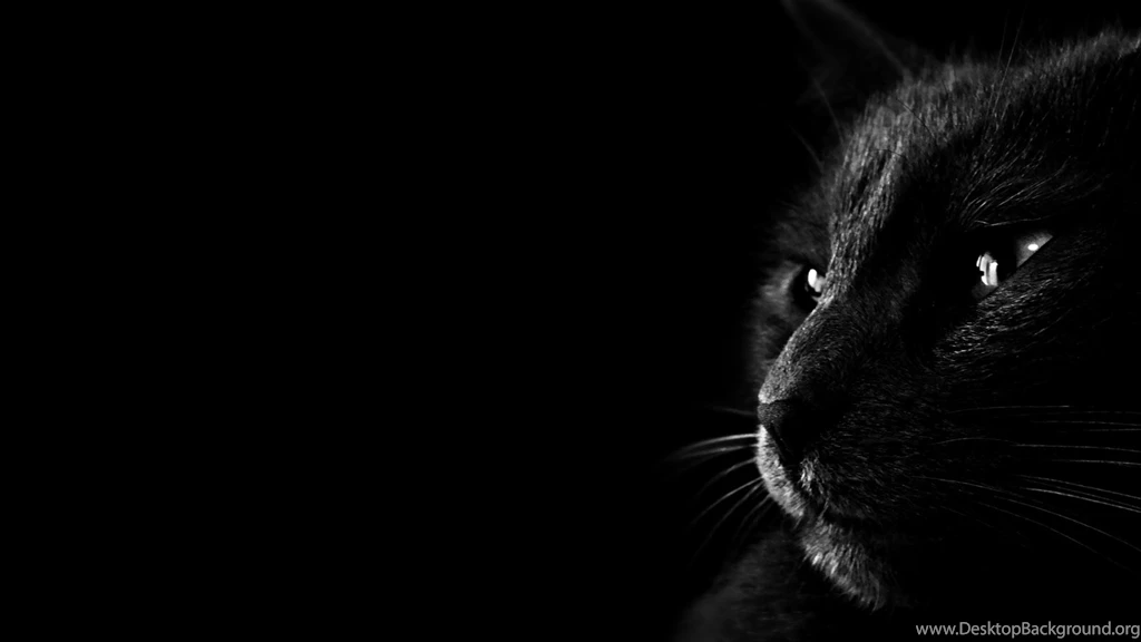 Hd Beautiful Black Butterfly